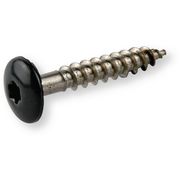 Facade screw